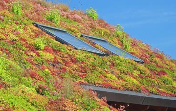Northwick living roof systems